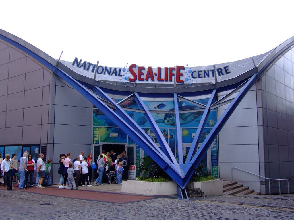 Sealife
