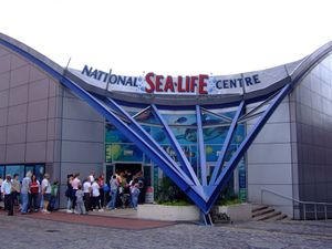 Sealife