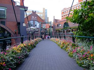 Waters Edge Bridge