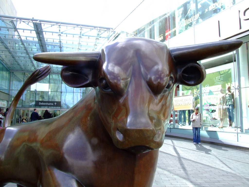 The Bull