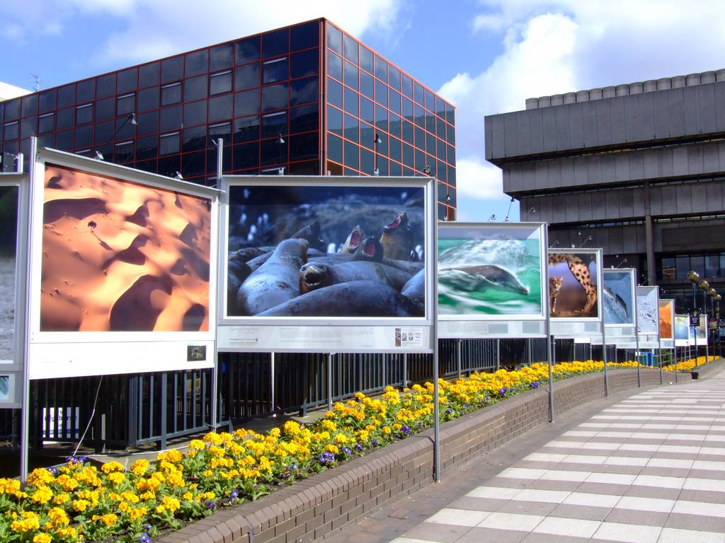 Photographic Display