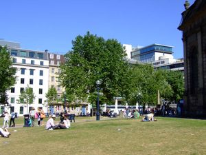 Summer Scene