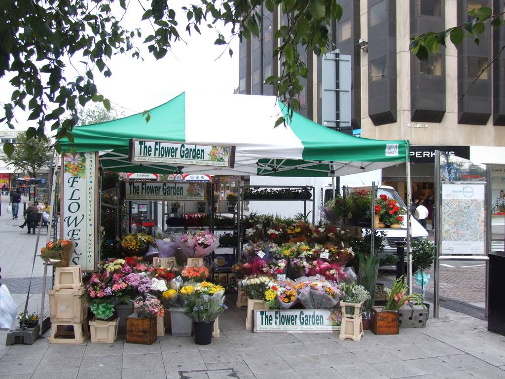 The Flower Garden