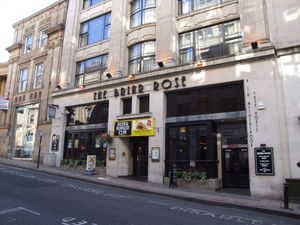 The Briar Rose