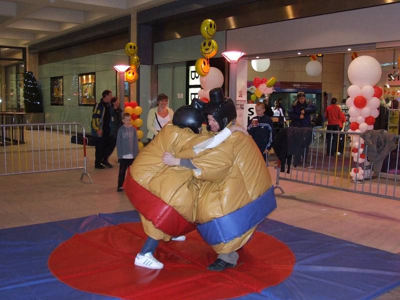 Sumo Wrestlers