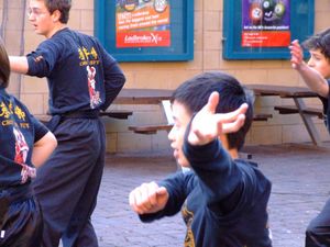 Kung Fu Demonstration