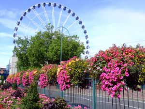 Wheel of Birmingham