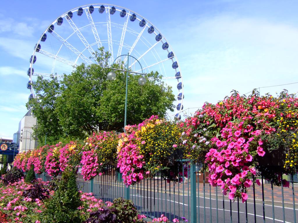 Wheel of Birmingham