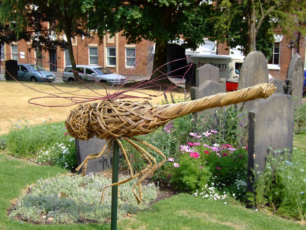 Dragonfly -  St Paul`s Square