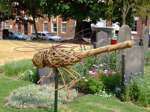 Dragonfly -  St Paul`s Square