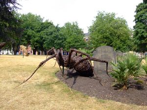 Floral Trail the Spider