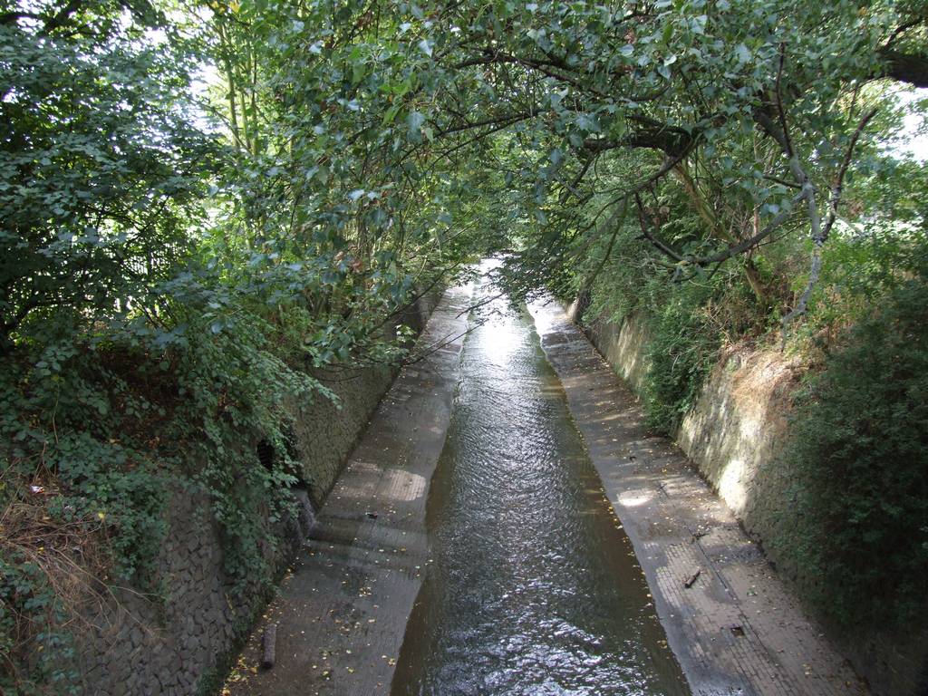 Bheath38