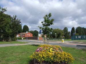 Bheath40
