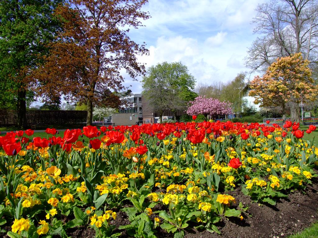 Cannon Hill Park