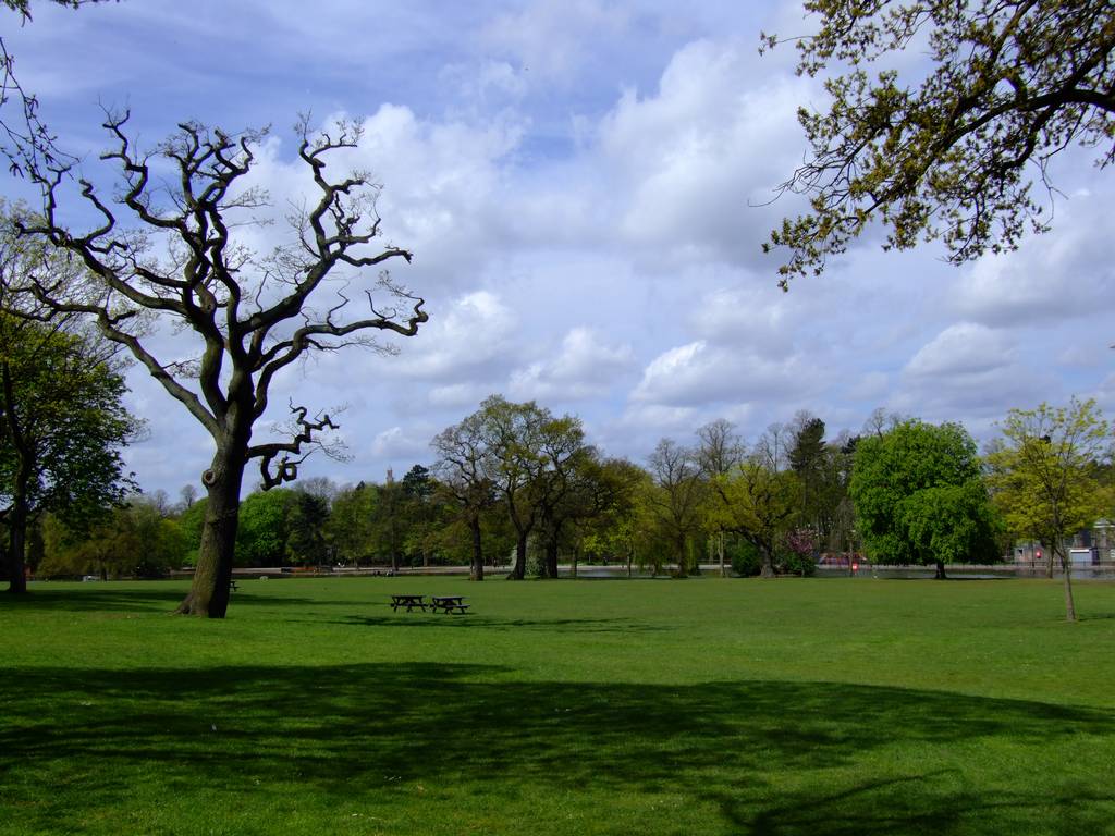 Open space