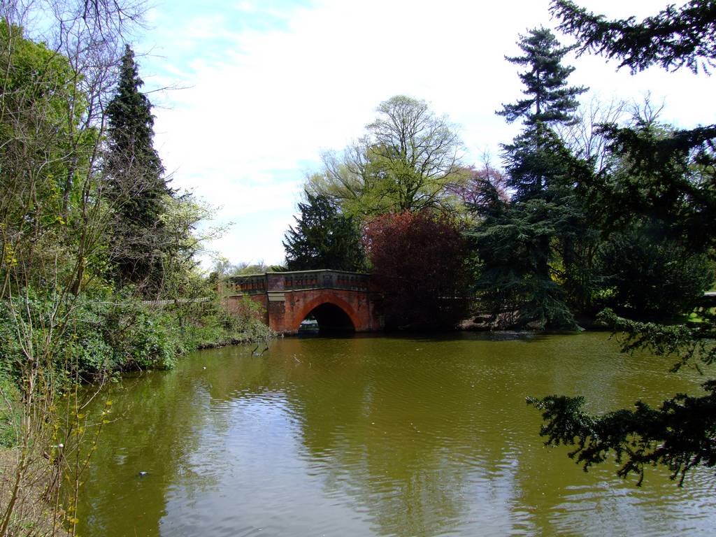 The Bridge