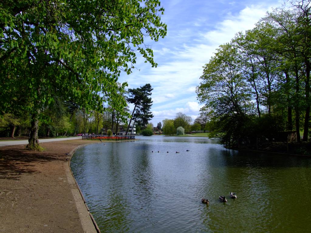 The Boating Lake