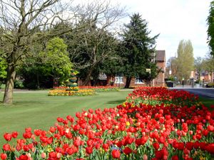 Cannon Hill Park