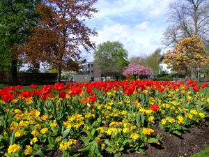 Cannon Hill Park