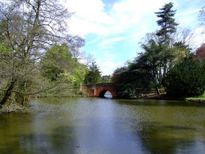 The Bridge