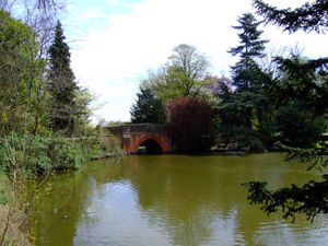 The Bridge