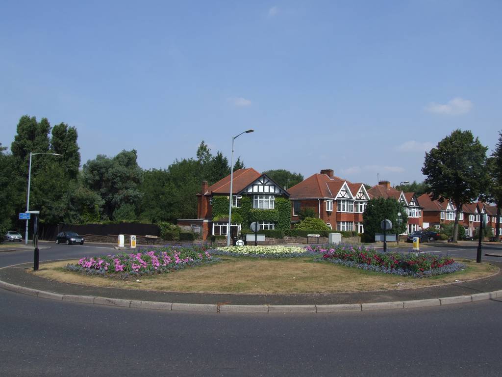 The Island