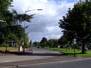 Hgreen43
