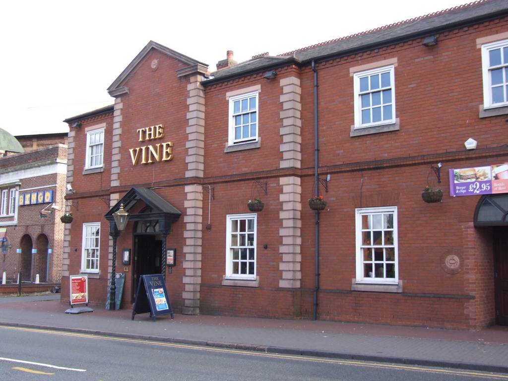 The Vine