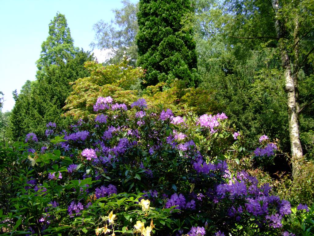 Grove Park