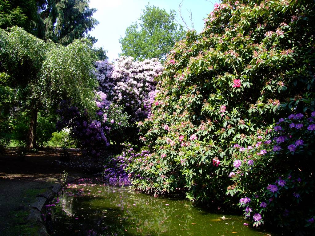 Grove Park