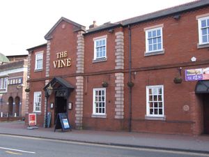 The Vine