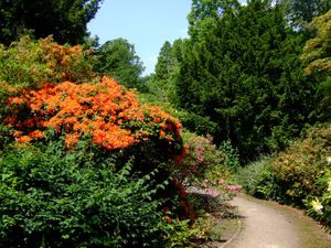 Grove Park