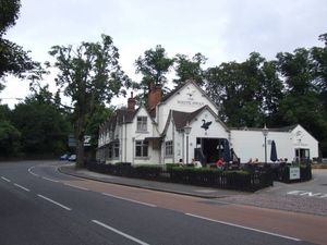 The White Swan