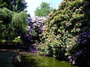 Grove Park