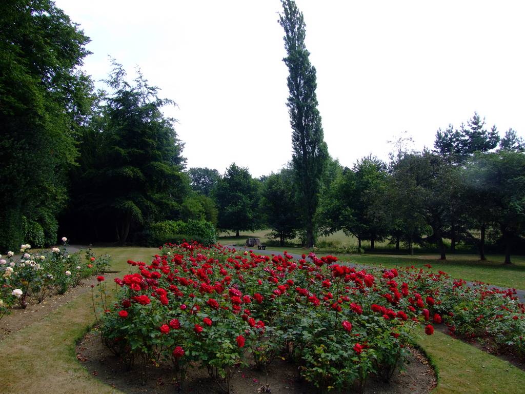 Highbury Park