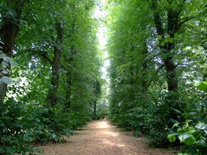 Arboretum