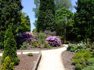 Kings Heath Park