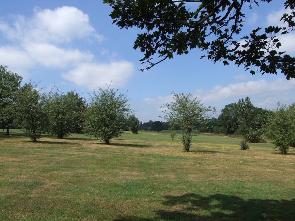 Pype Hayes Park