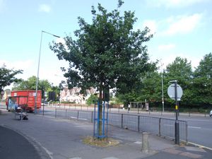 The New Selly Oak
