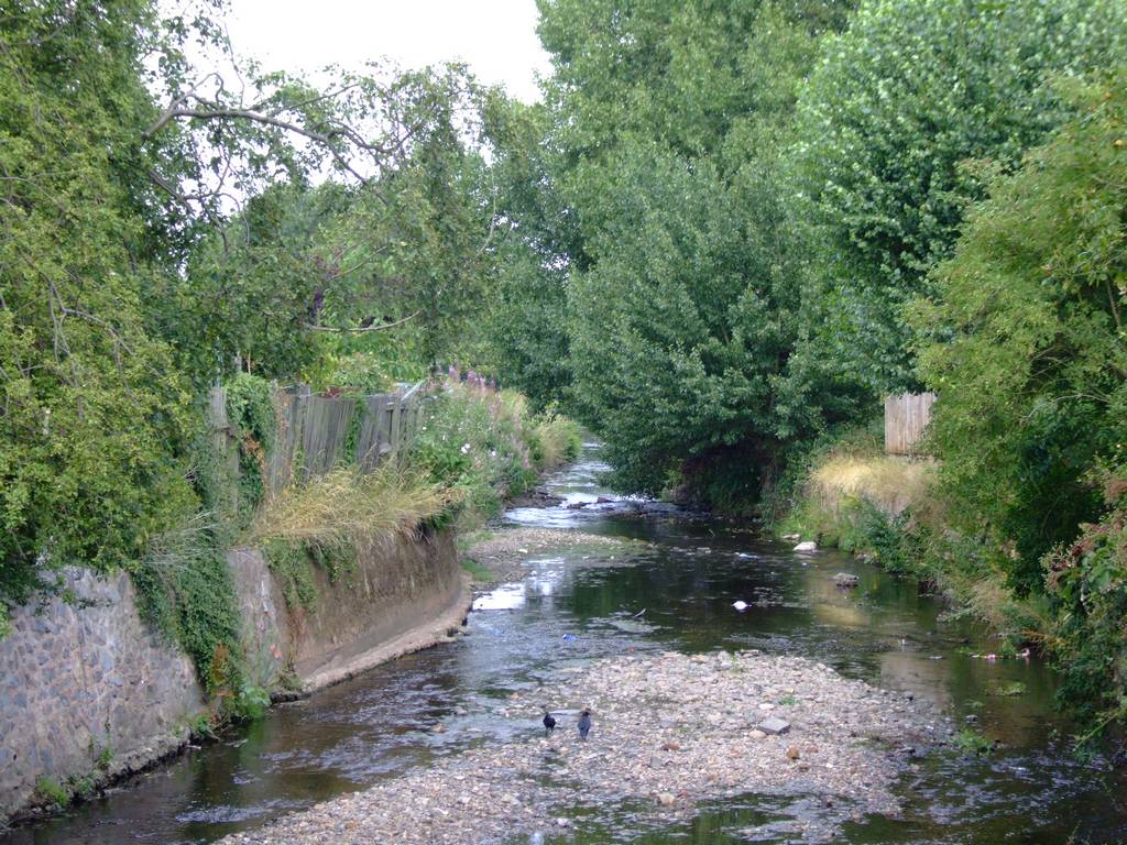 Bournbrook
