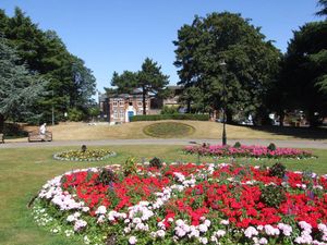 Ward End Park in bloom
