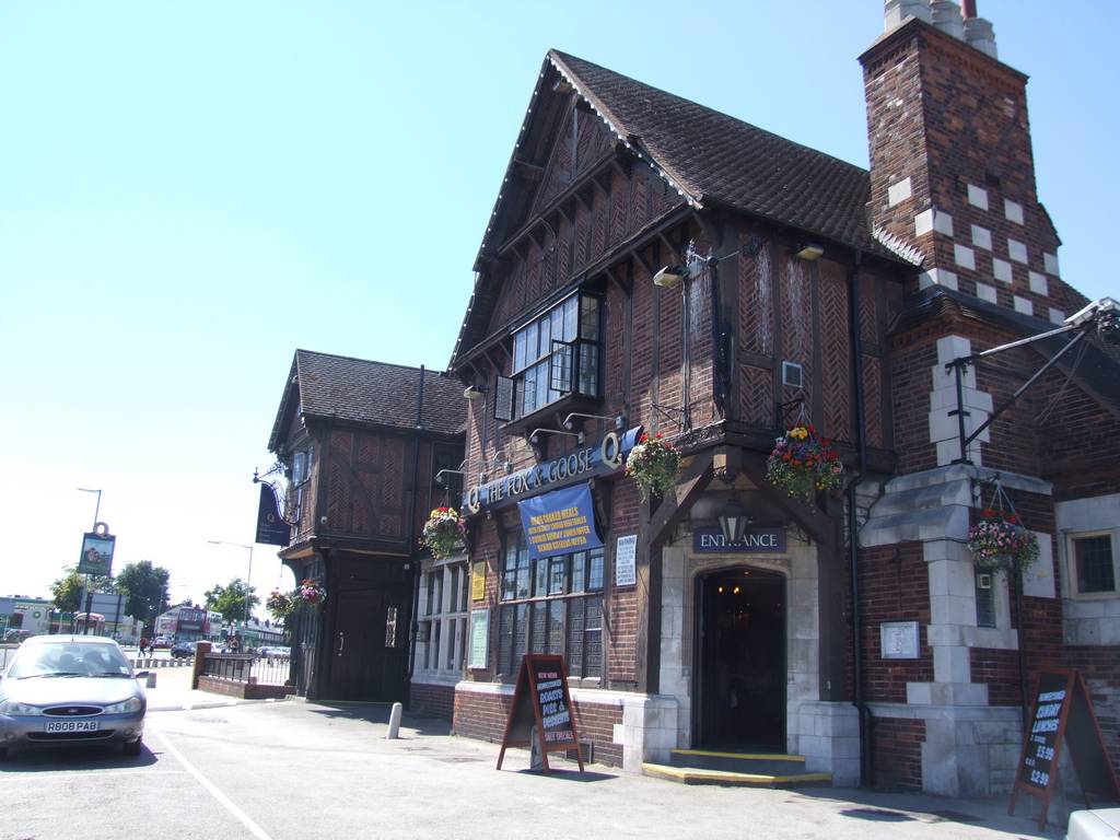 The Fox and Goose