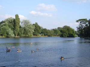 Trittiford Mill Pool