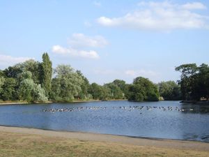 Trittiford Mill Pool